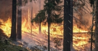 Climate change is a bigger threat than coronavirus, says UN Secretary General