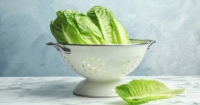 9 tips to avoid illness from salad greens
